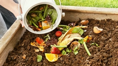 Making Natural Fertilizer from Kitchen Scraps